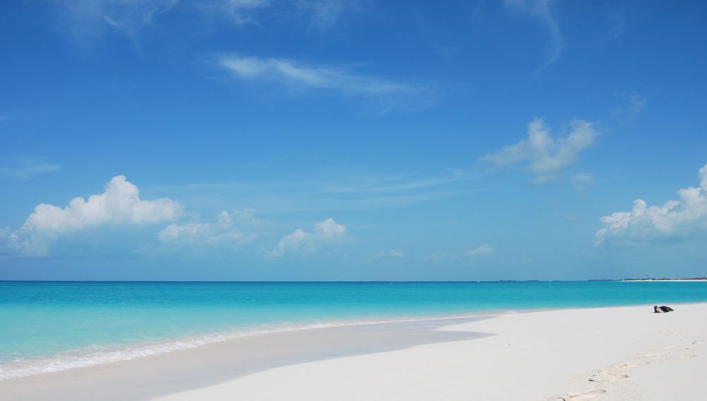 Cayo Largo 1 ns.jpg